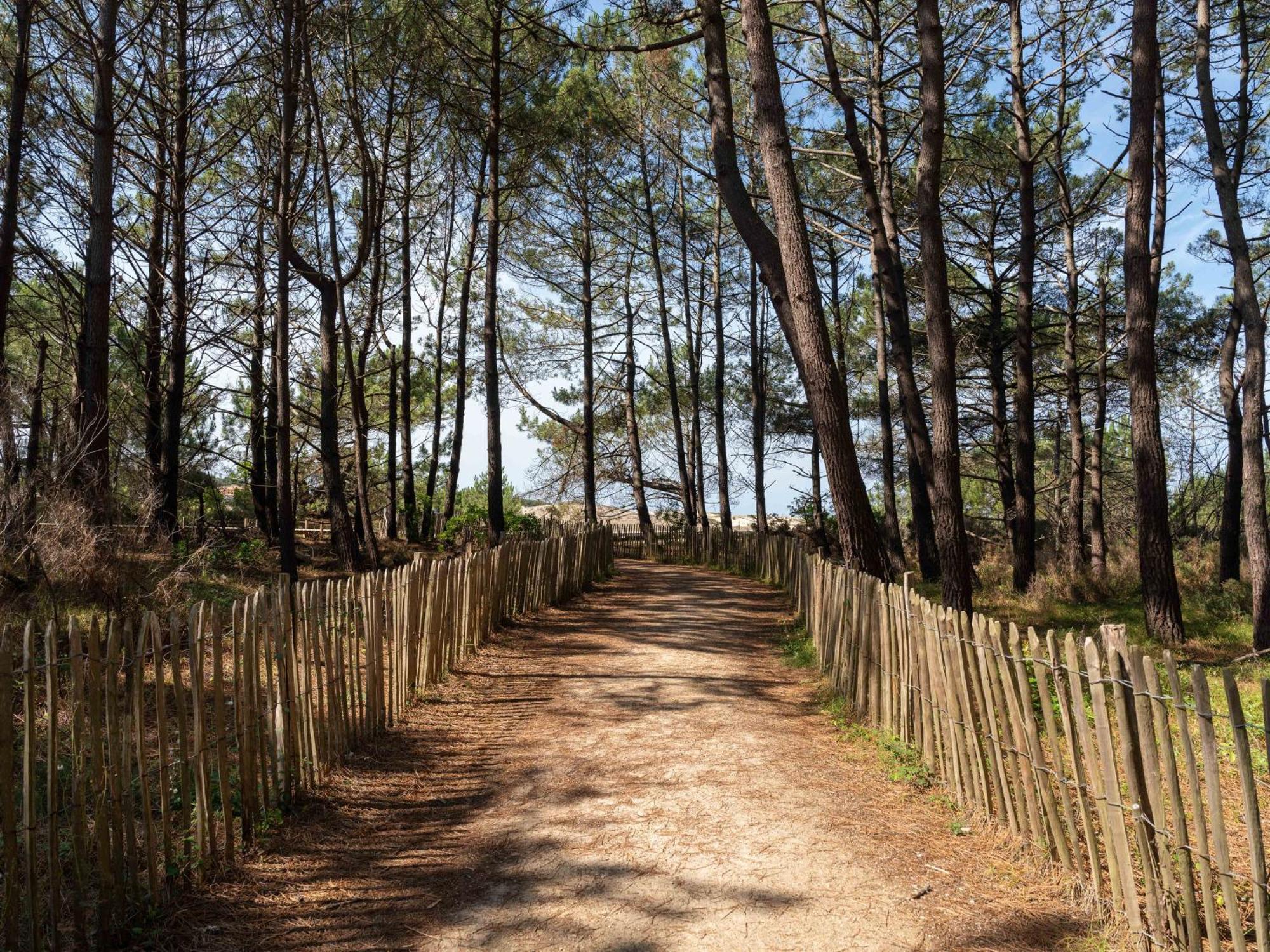 Biscarrosse Plage - Studio T1 Bis En Bord De Mer - Menage Inclus - Fr-1-319-185 Εξωτερικό φωτογραφία